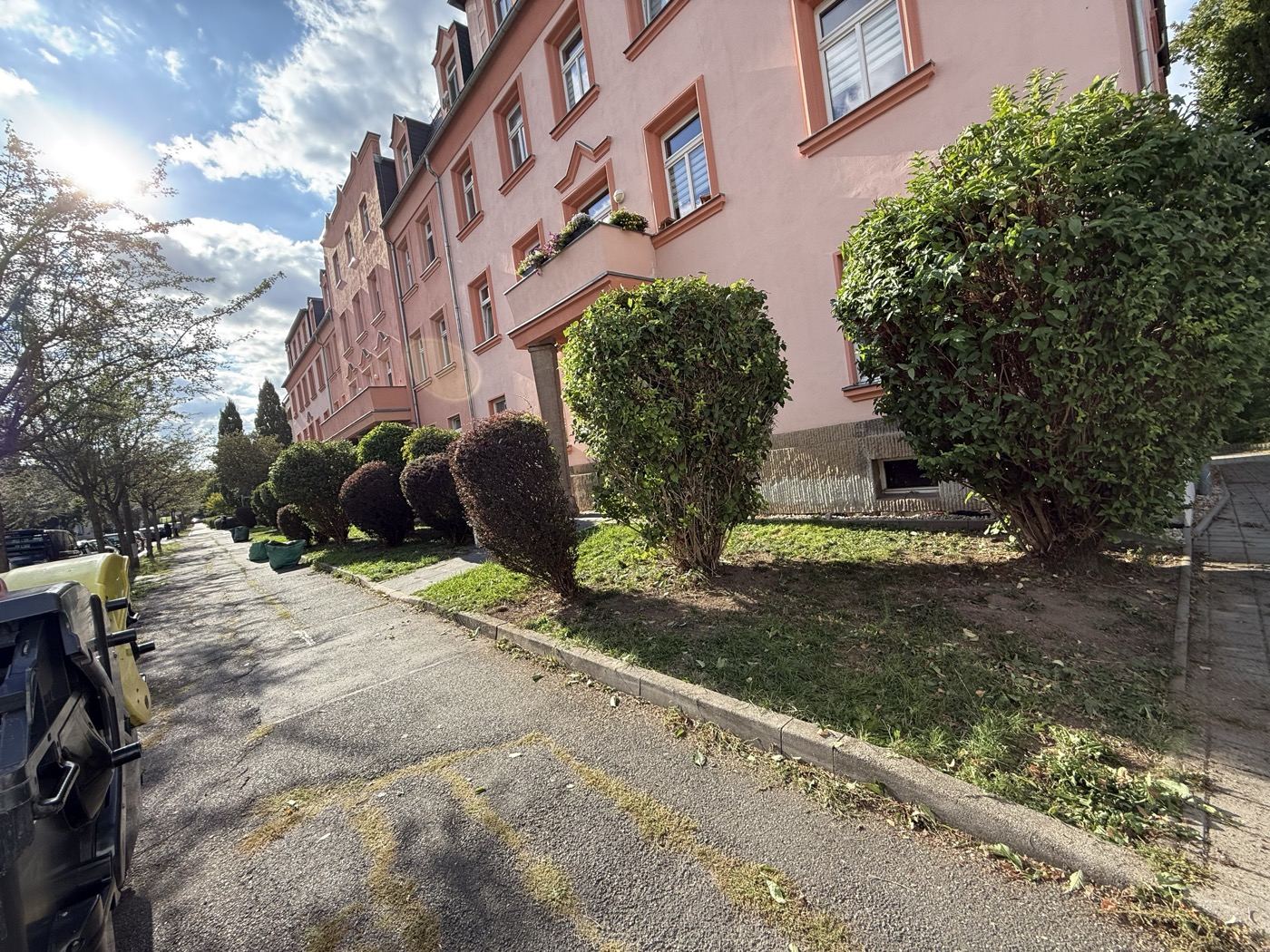 Geschnittene, formierte Sträucher entlang des Gehwegs